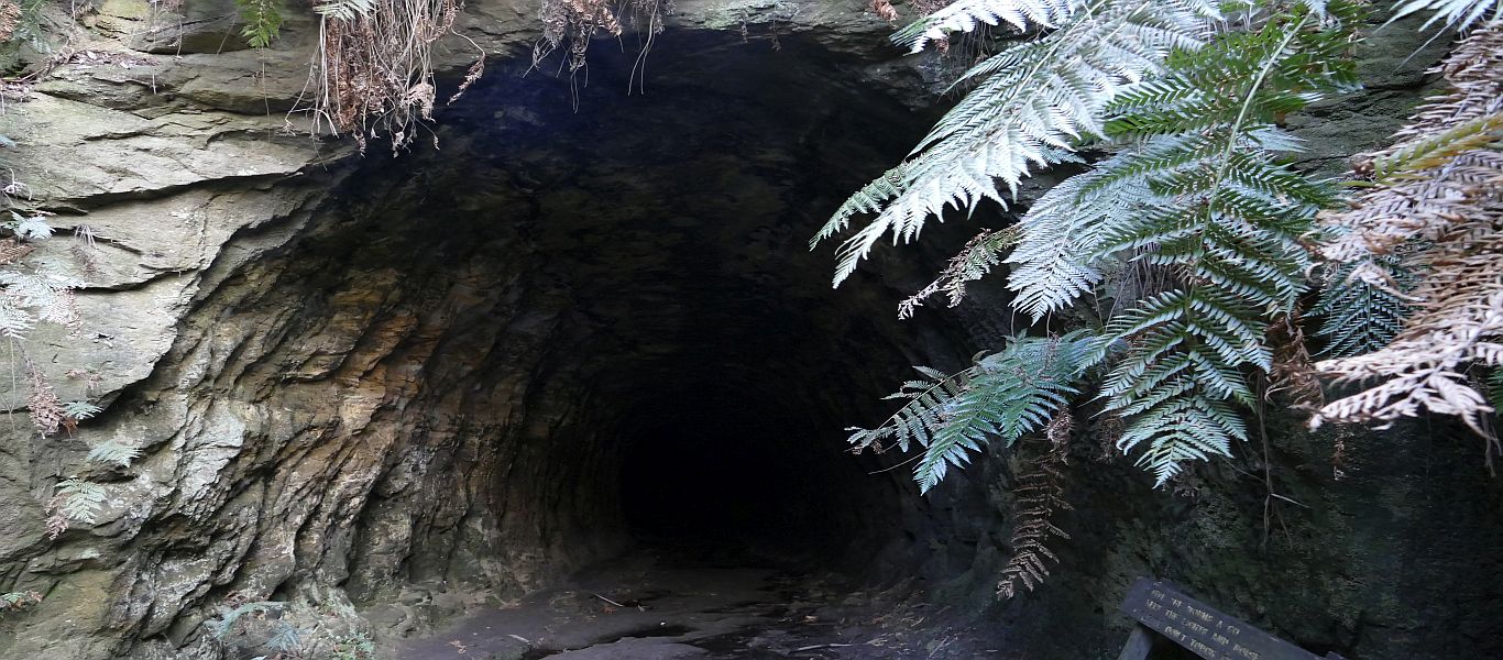Wandern in Ostaustralien, Wollemi Nationalpark, Glow Worm Tunnel Walk