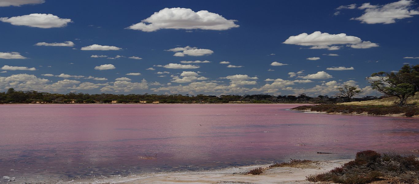 Wandern in Südaustralien, Murray-Sunset-Nationalpark, Pink Lakes